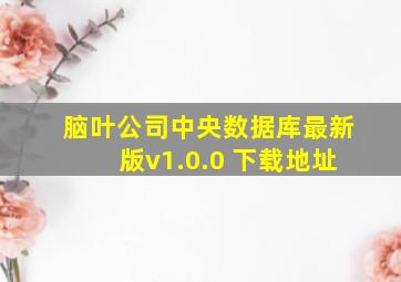 脑叶公司中央数据库最新版v1.0.0 下载地址